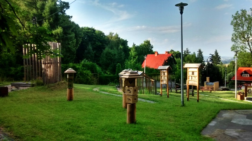 Szkoła Leśna