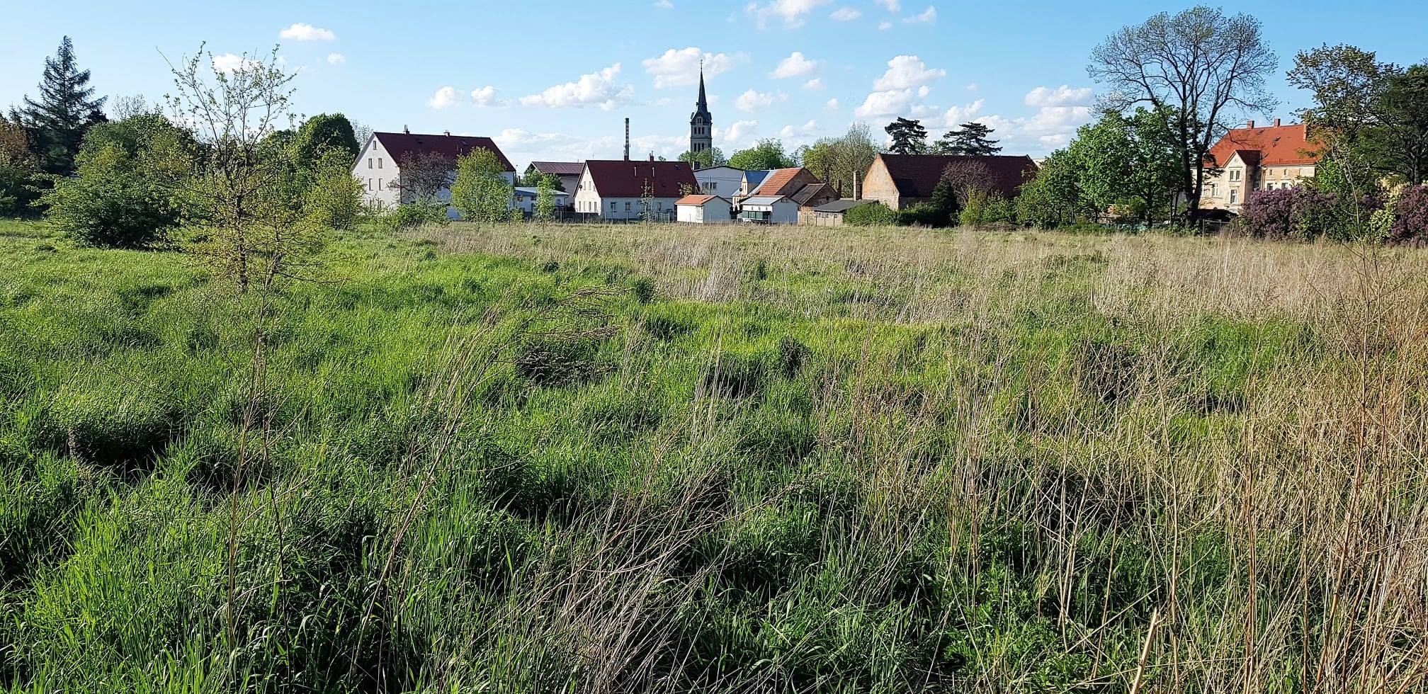 na zdjeciu działka inwestycyjna - trawa, w tle budynki