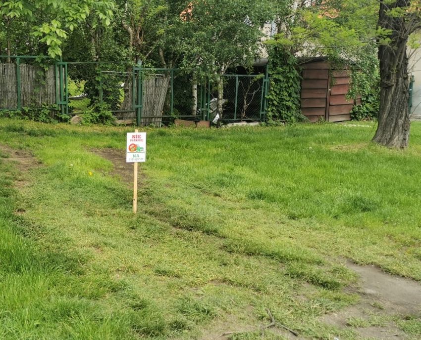 Tabliczka informacyjna z napisem "Nie parkuję na zielonym"
