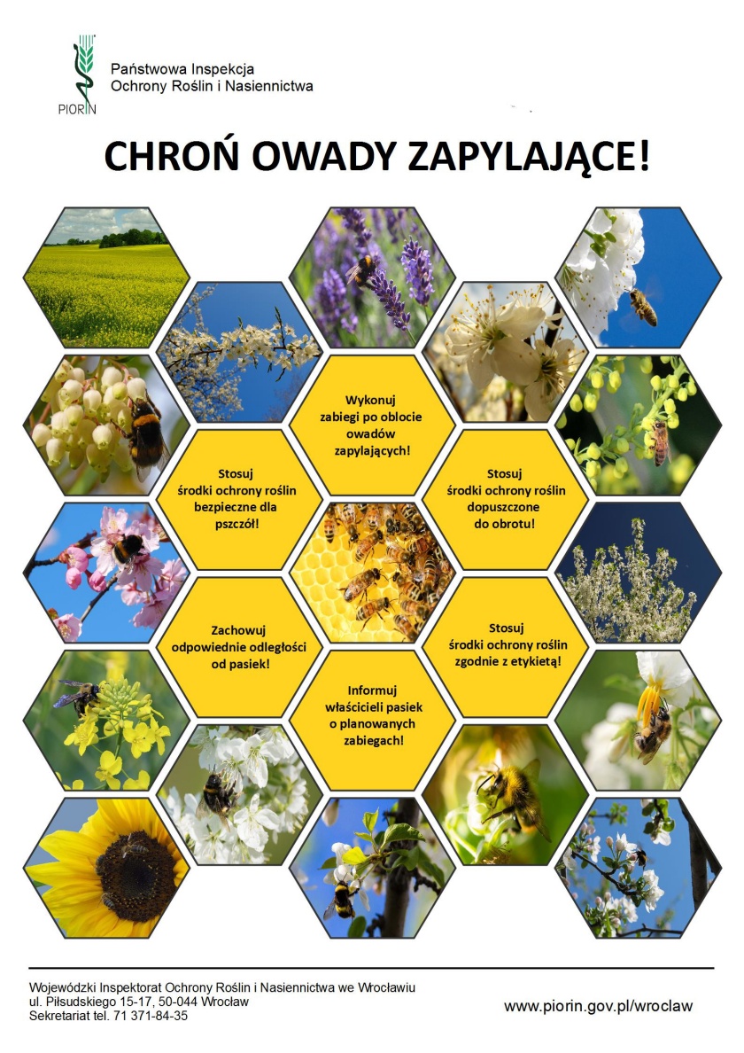 Chroń owady zapylające - plakat