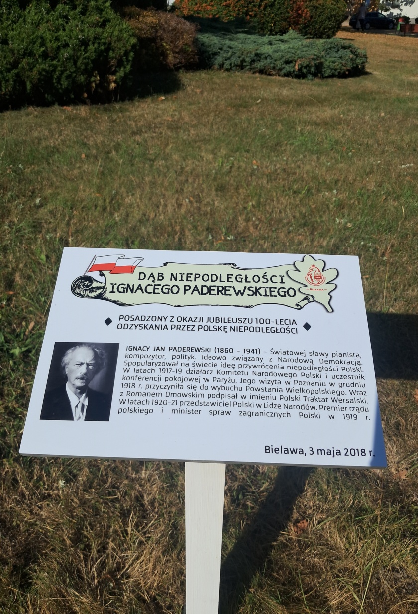 Tabliczka pamiątkowa - Dąb Niepodległości Ignacego Paderewskiego